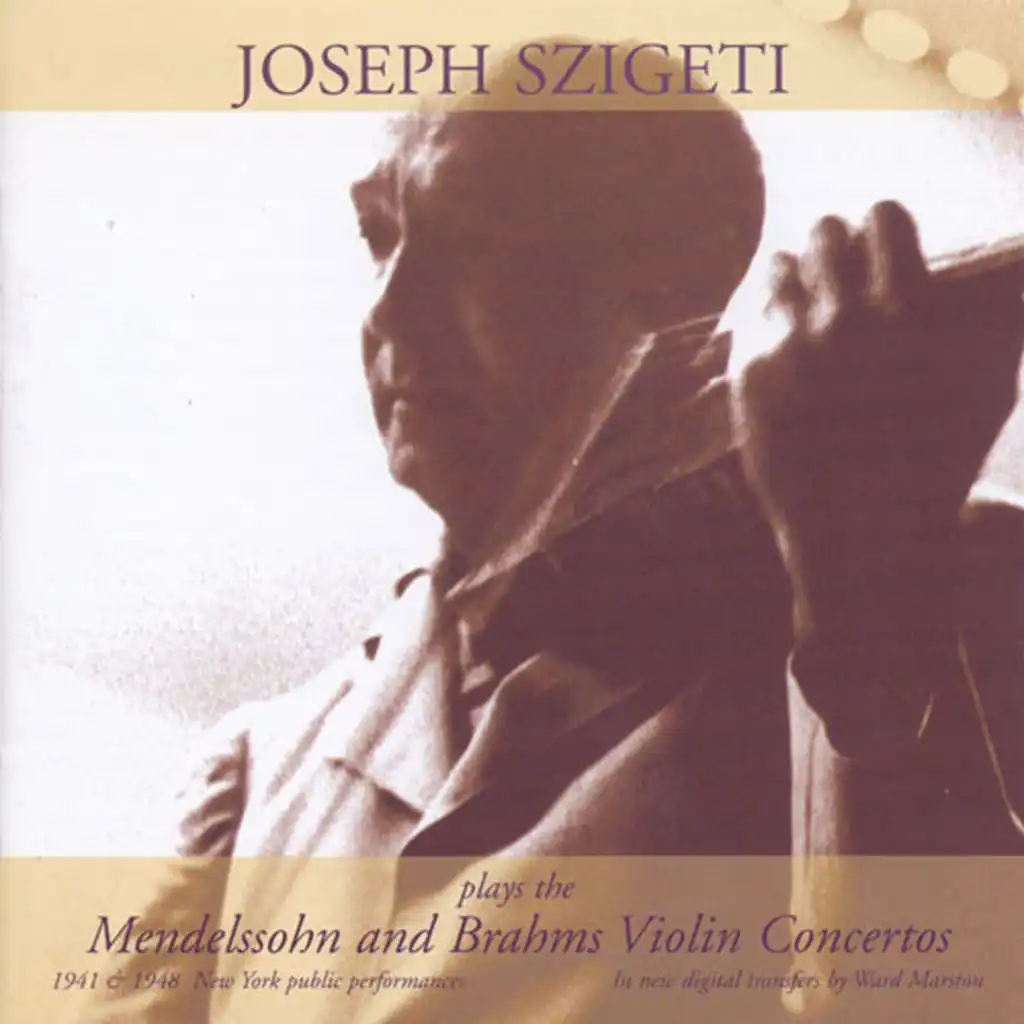 Violin Concerto in D Major, Op. 77: II. Adagio