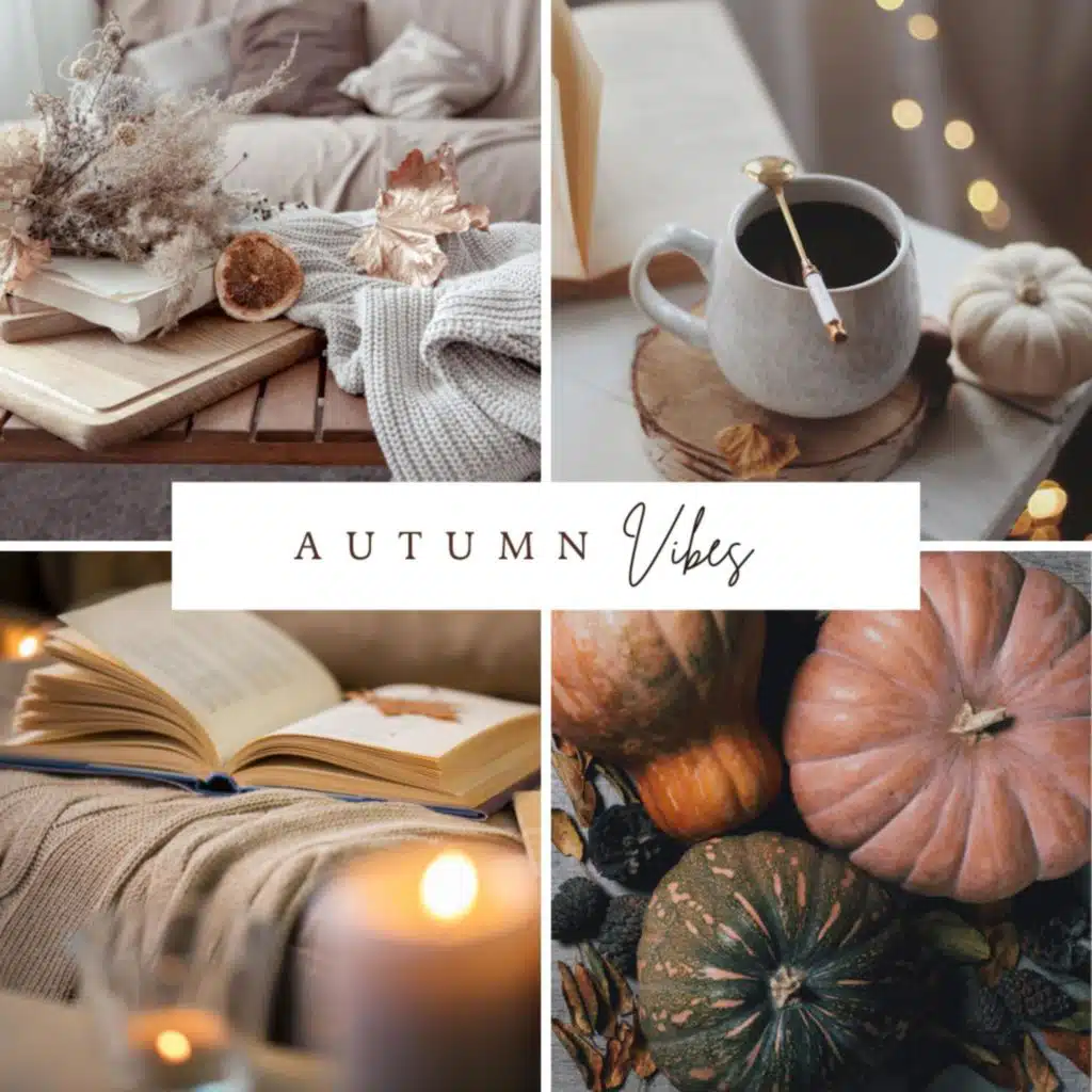 Autumn Vibes 2024