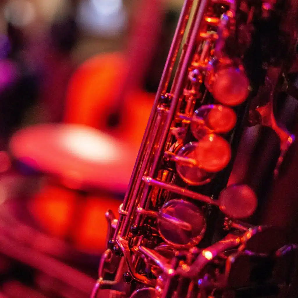 Mellow Vibes Under Moonlight