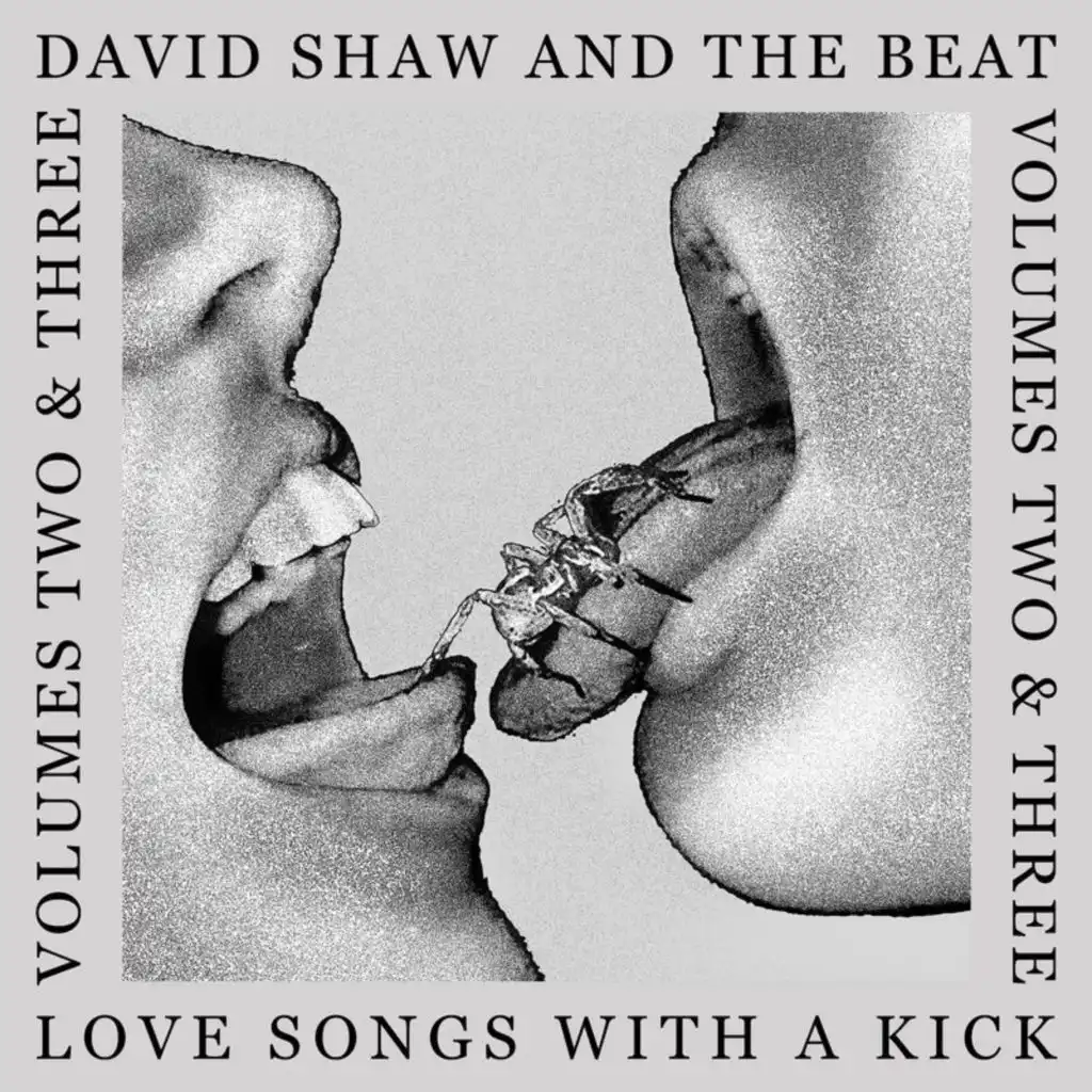 David Shaw And The Beat