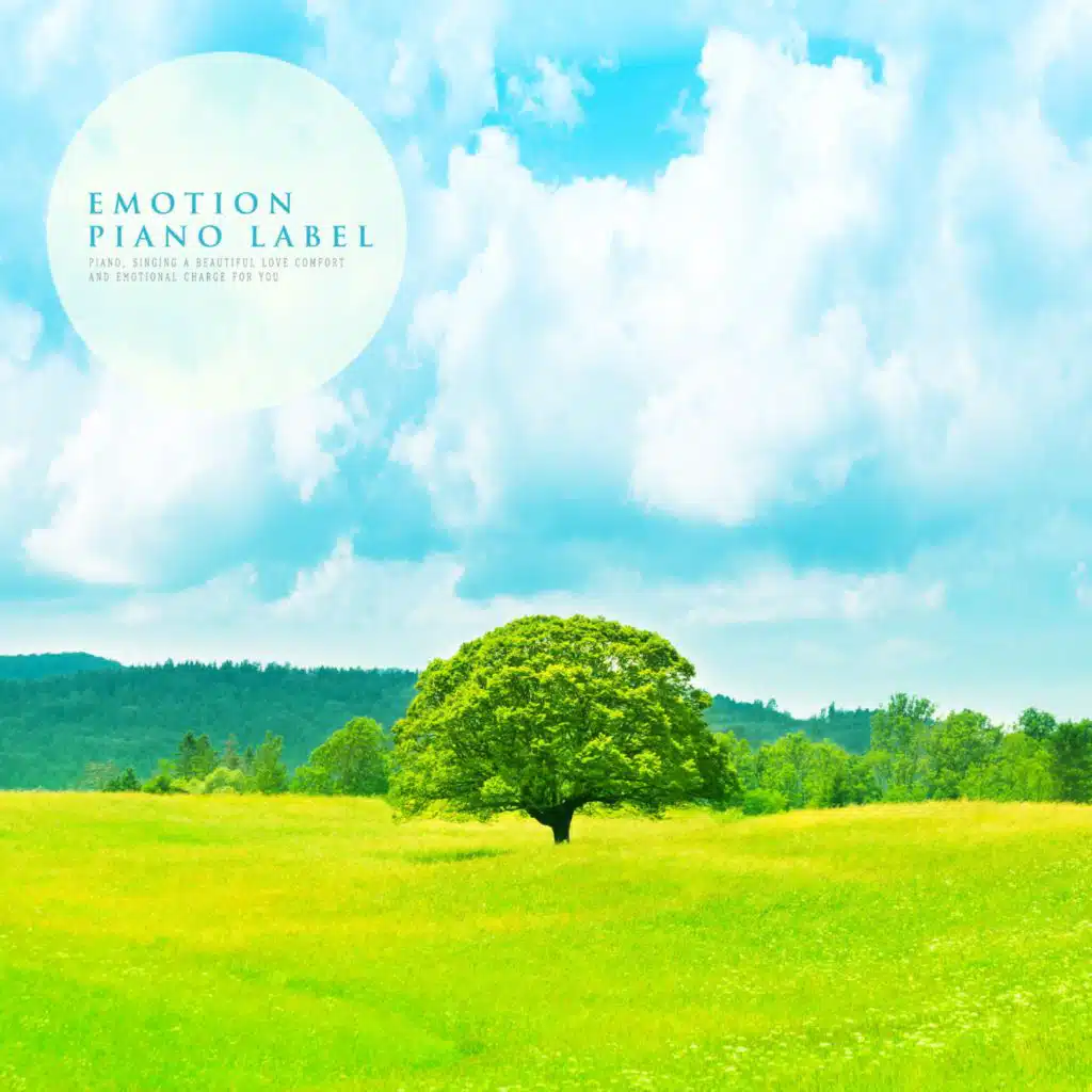 Piano Collection That Adds Concentration To Study Time