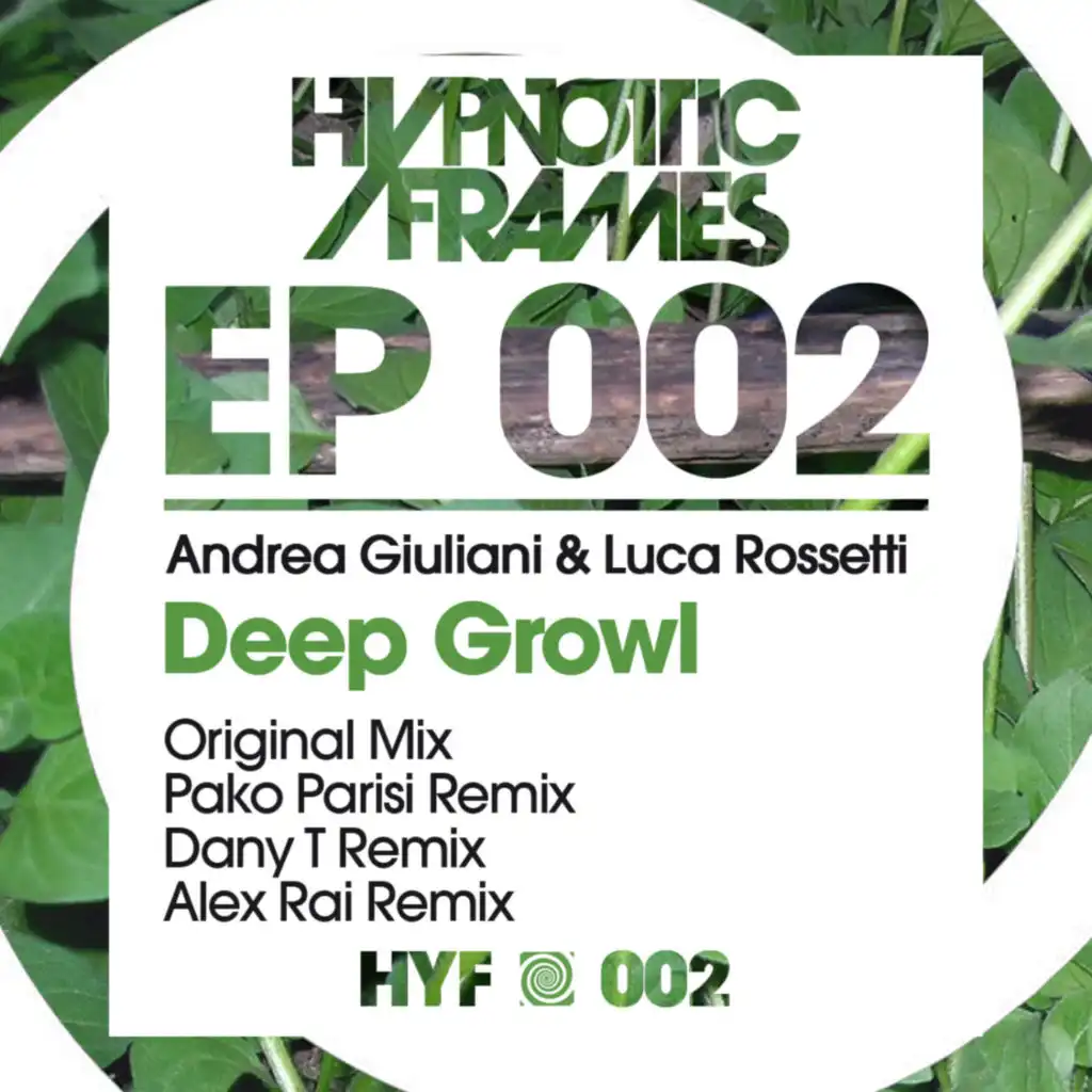 Hypnotic Frames 002