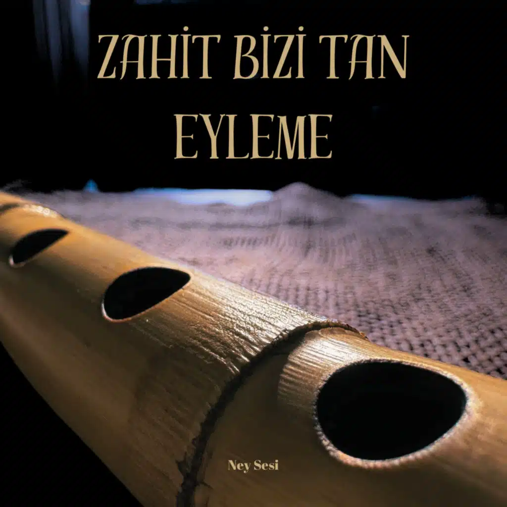 Zahit Bizi Tan Eyleme