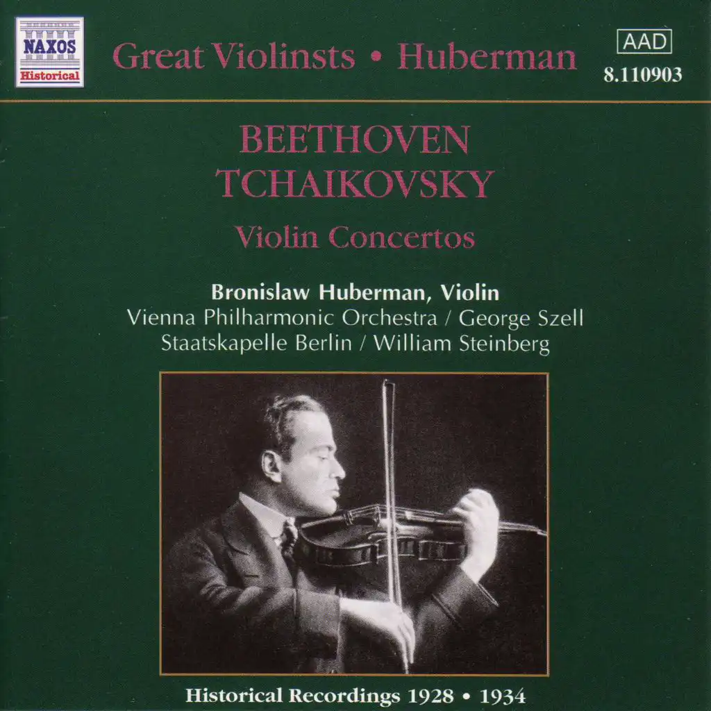 Violin Concerto in D Major, Op. 35, TH 59: I. Allegro moderato