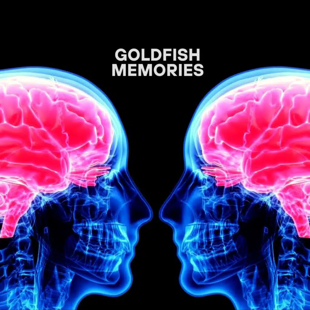 Goldfish Memories