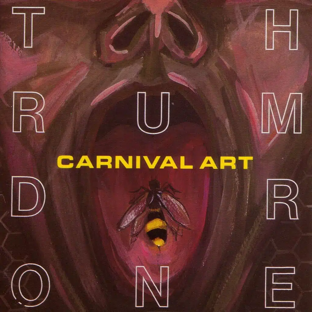 Thrumdrone
