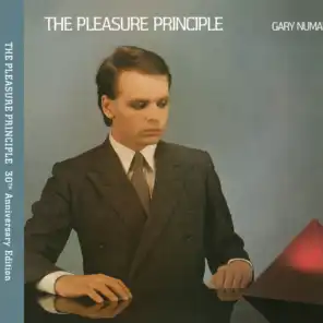 The Pleasure Principle (Expanded Edition)