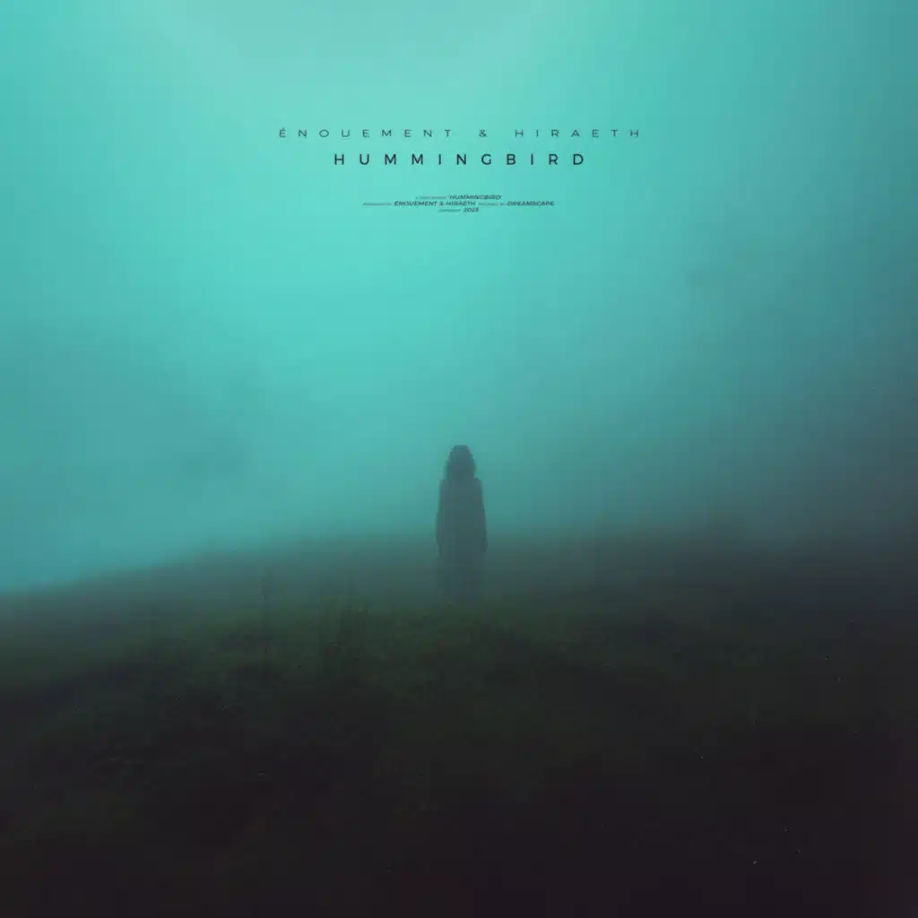 hummingbird (remixes)