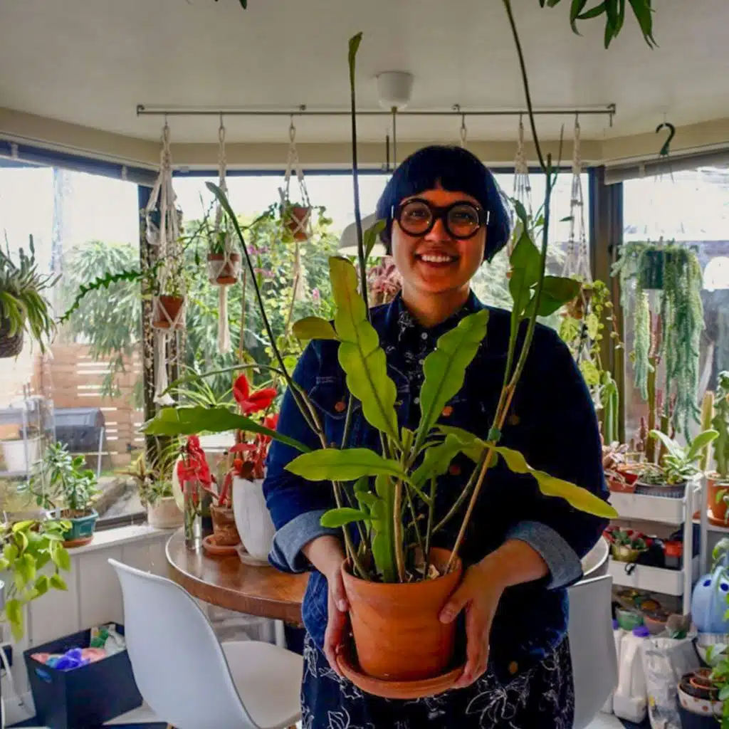 The Blue Suit: Night-blooming Cereus