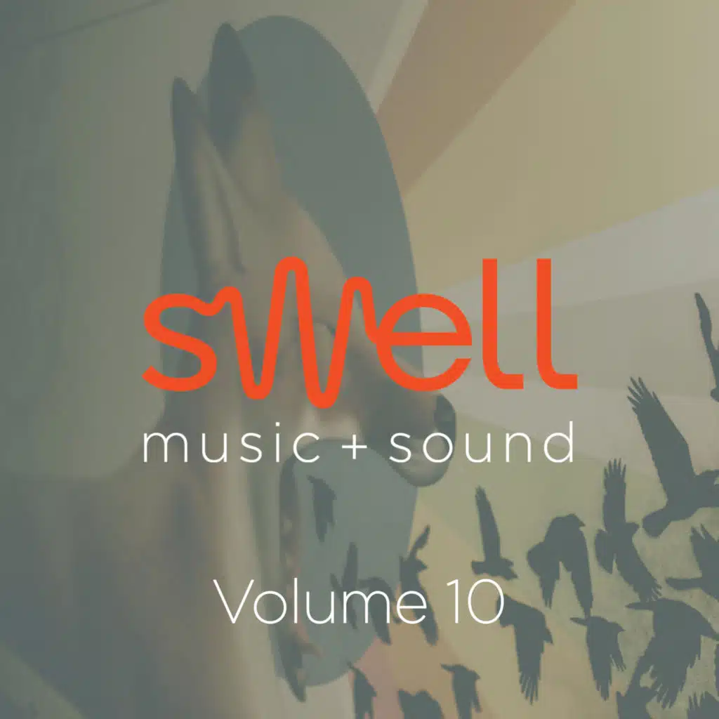 Swell Sound Collection, Vol. 10