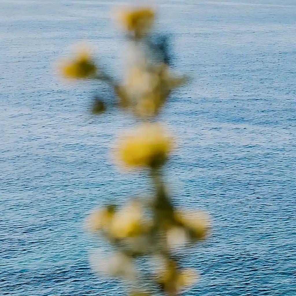 One of Your Illusions (feat. maybealice)