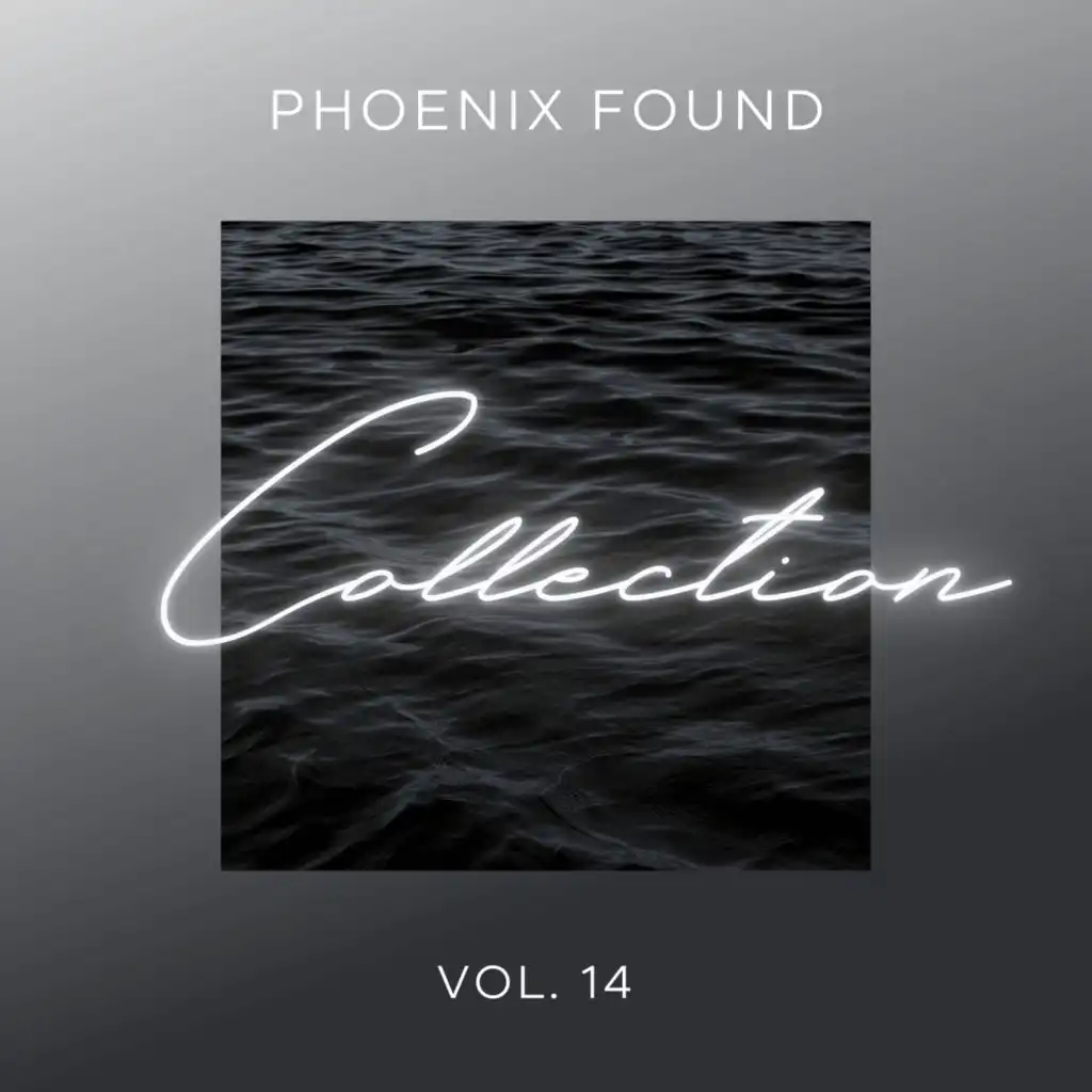 Phoenix Found Collection, Vol. 14