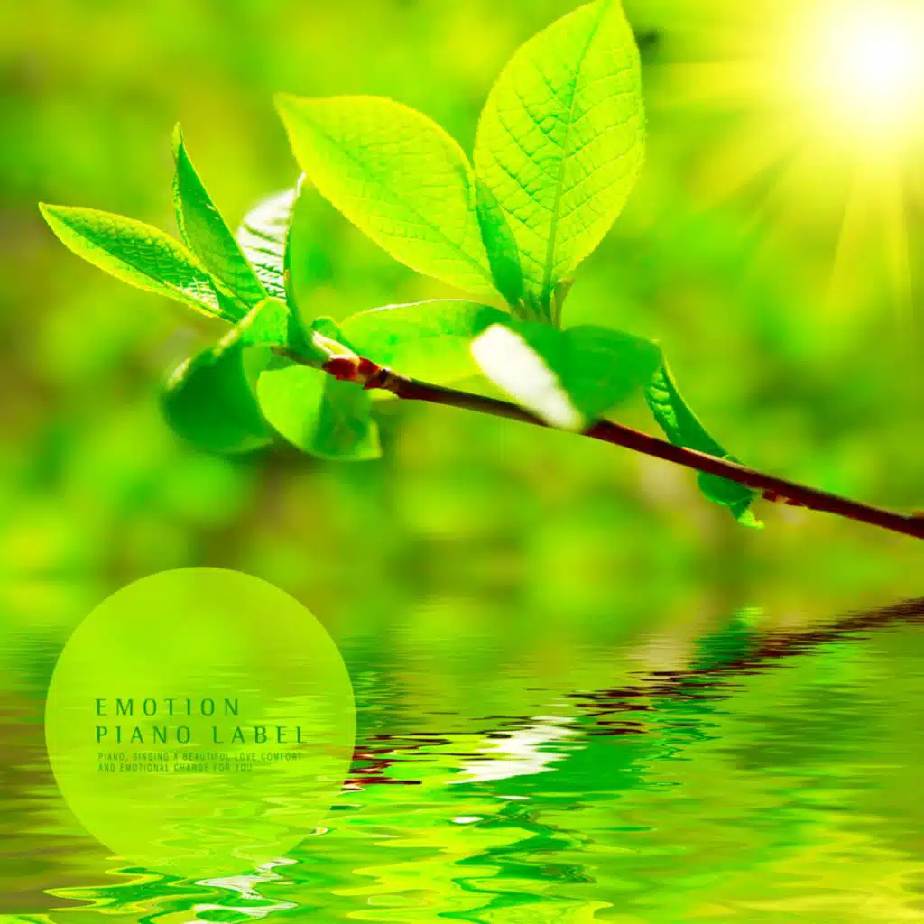 Sunny Summer Sky (Nature Ver.)