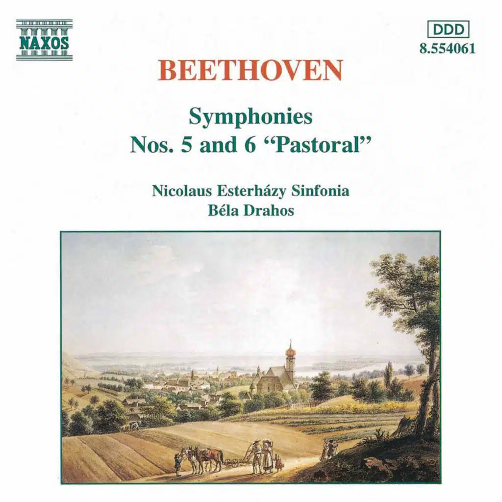 Symphony No. 5 in C Minor, Op. 67: III. Allegro