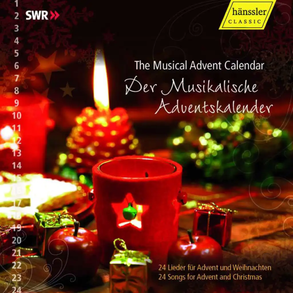 Der Musikalische Adventskalender (2009)