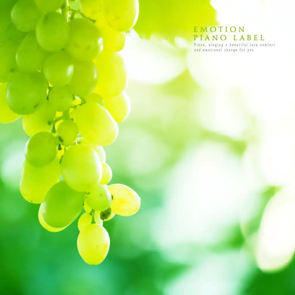 Sweet Music (Meditation Piano) That Deepens Thinking