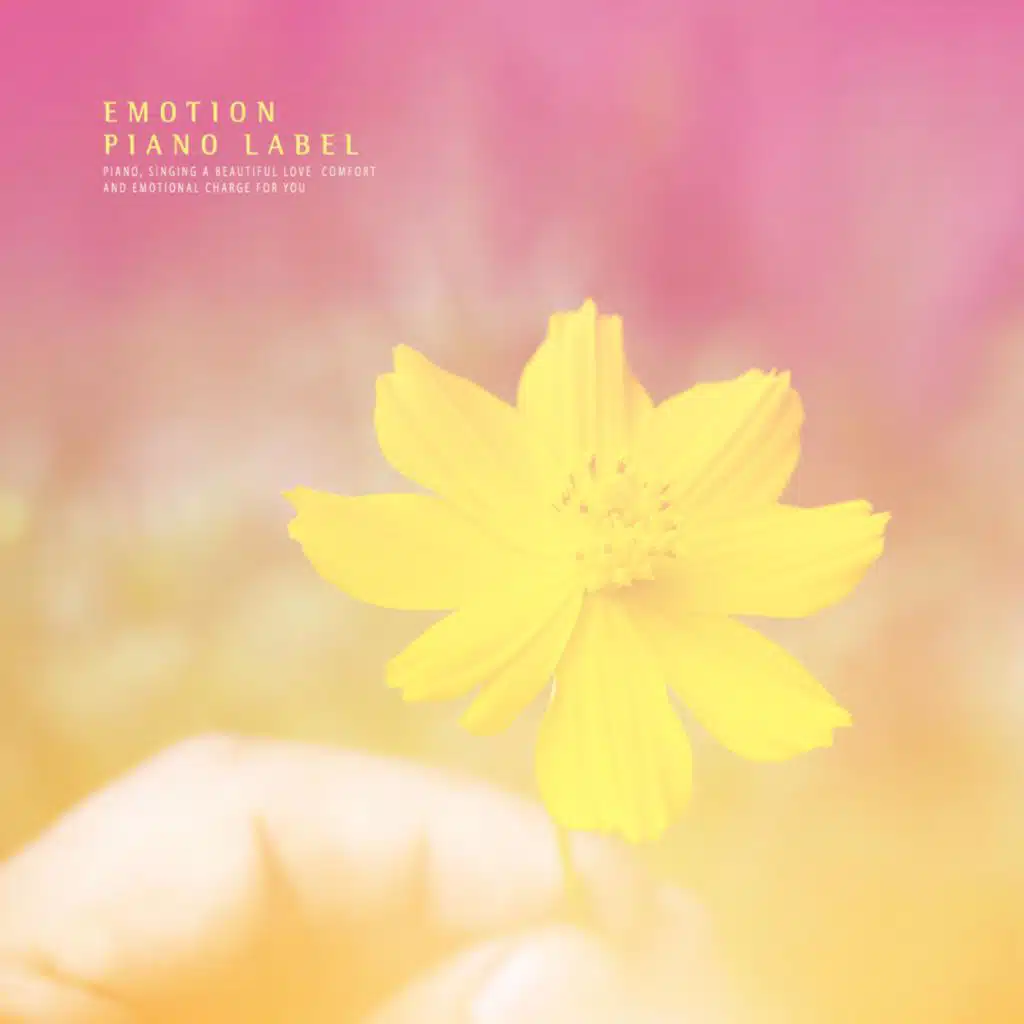 A Sleeping Piano Collection Of Dreamy Sweet Melodies