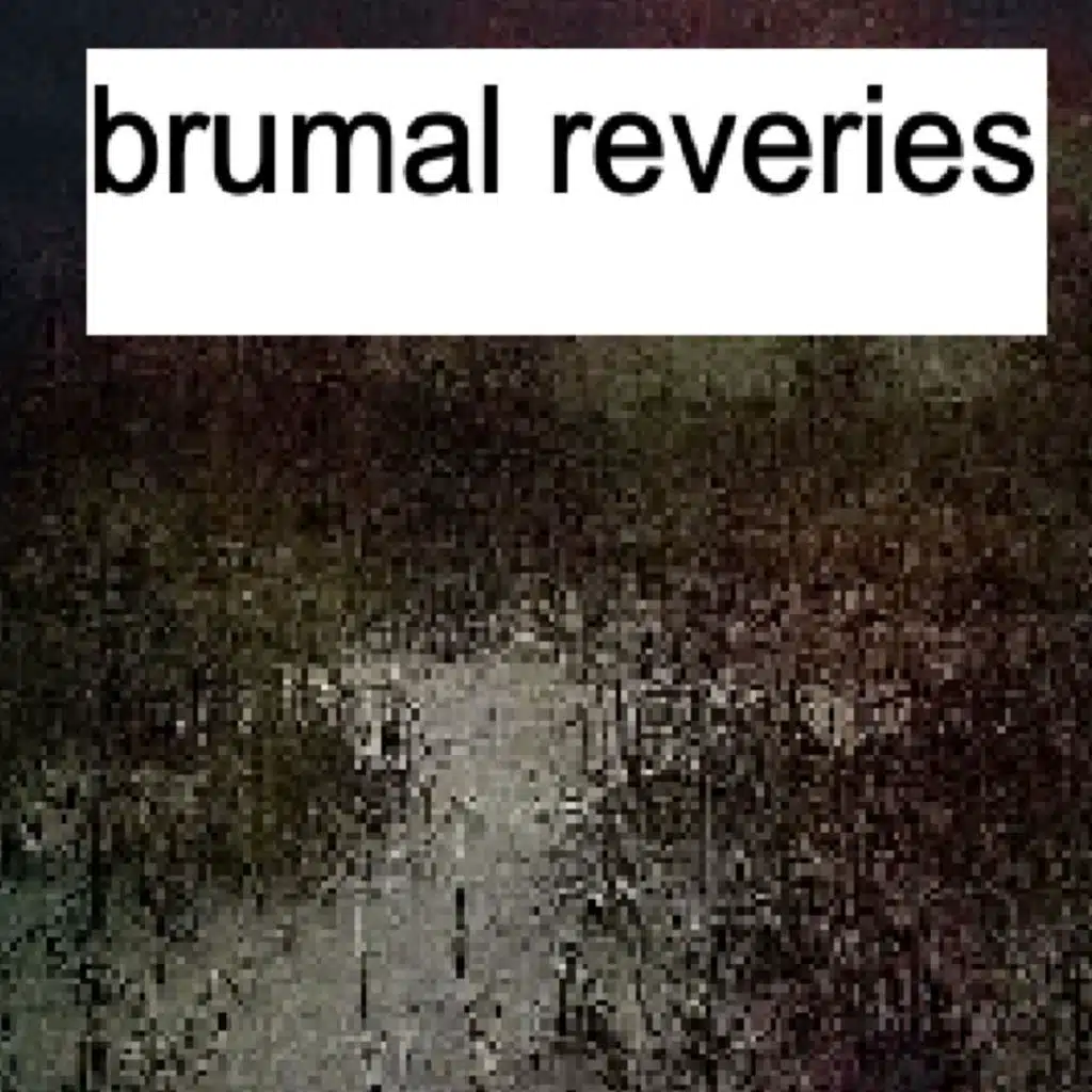 brumal reveries