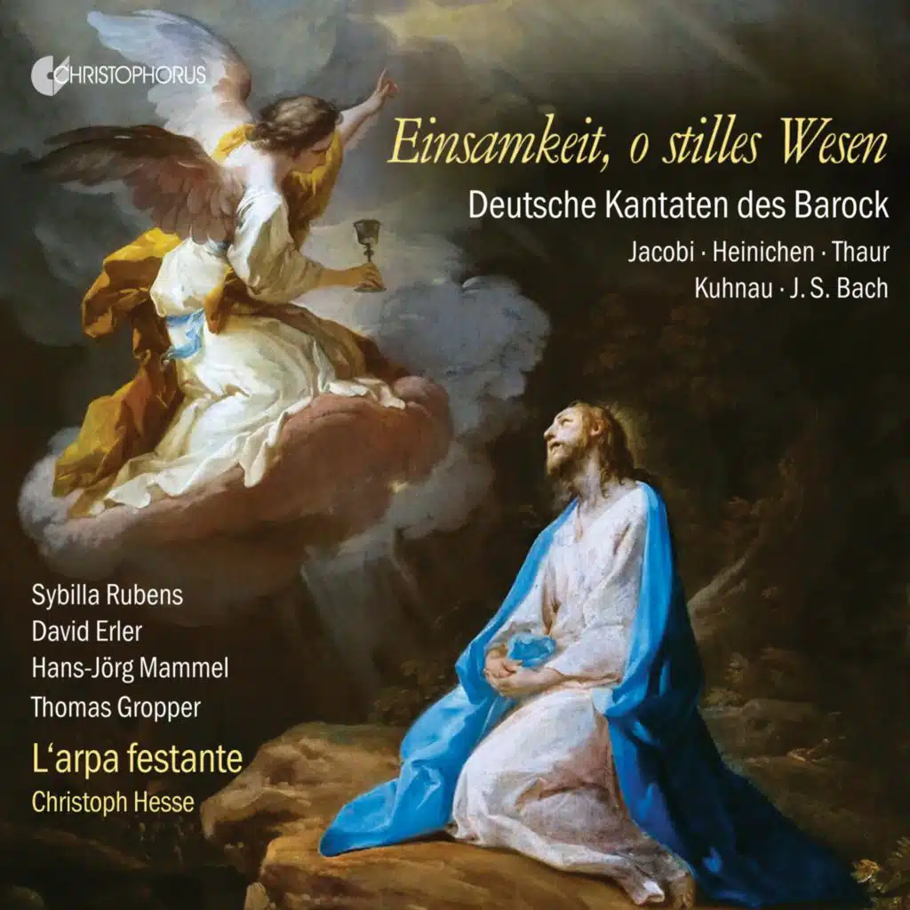 Der Segen des Herren machet reich: No. 7, Sonata da capo