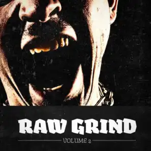 Raw Grind, Vol. 2 (A Selection of Punk, Hardcore & Metal Music)