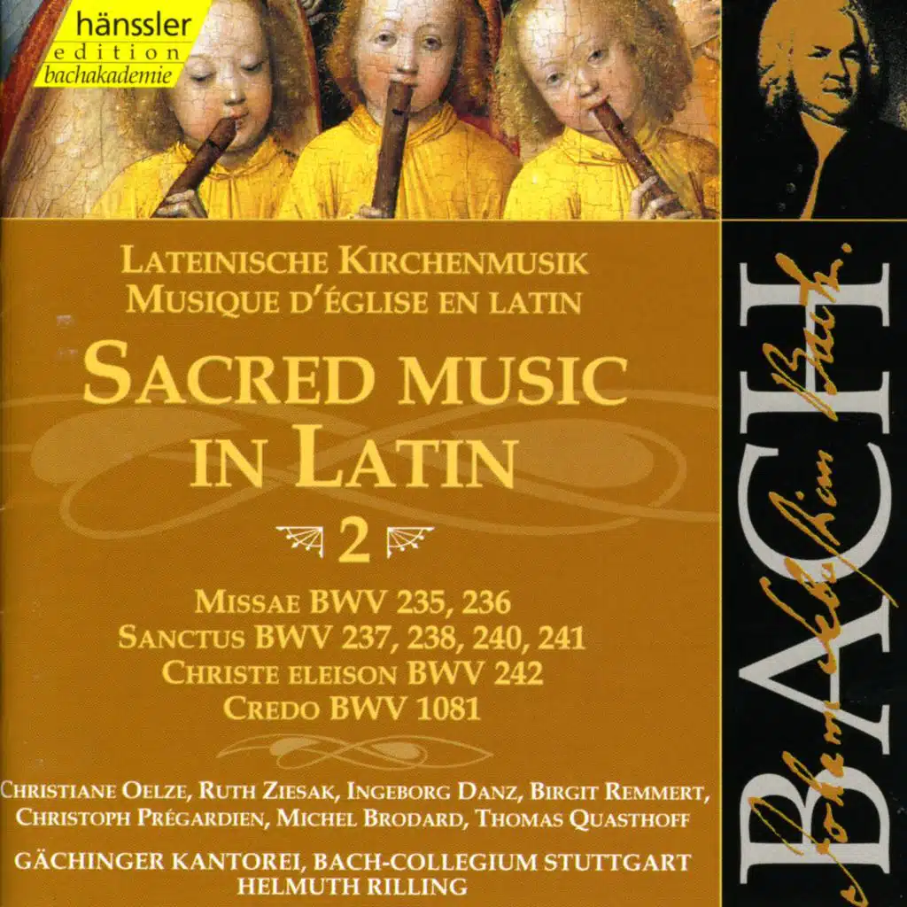 Mass in G Major, BWV 236: Domine Deus (Soprano, Alto)