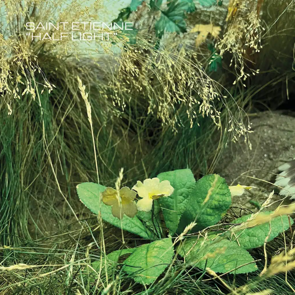 Daydream (Bonus Track)