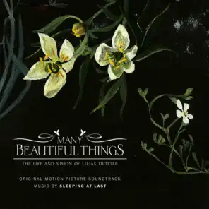 Many Beautiful Things (Original Motion Picture Soundtrack)