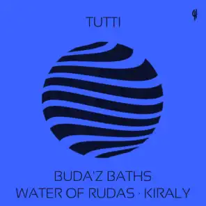 Buda'z Baths / Water of Rudas / Kiraly