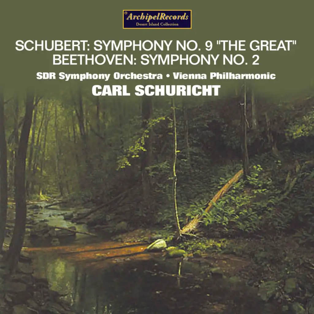 Symphony No. 2 in D Major, Op. 36: II. Larghetto