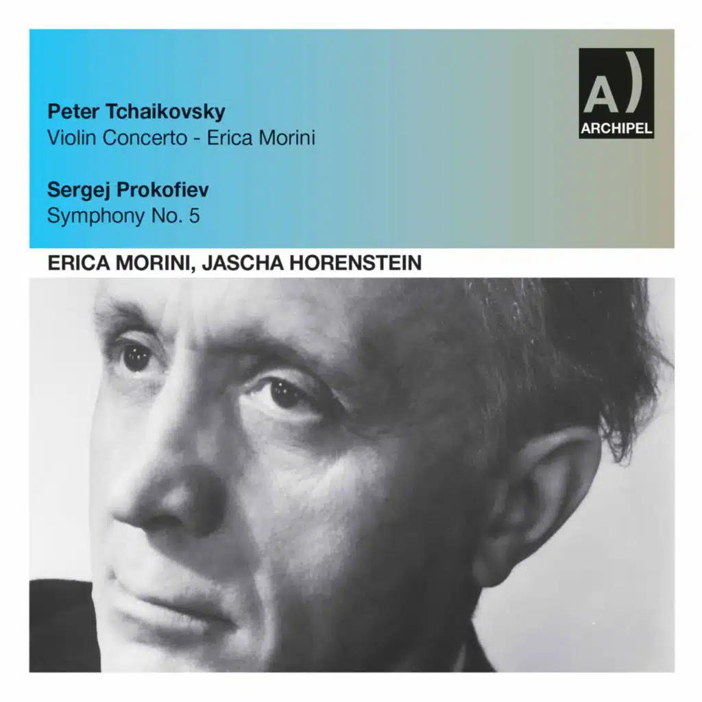 Violin Concerto in D Major, Op. 35, TH 59: I. Allegro moderato (Live)