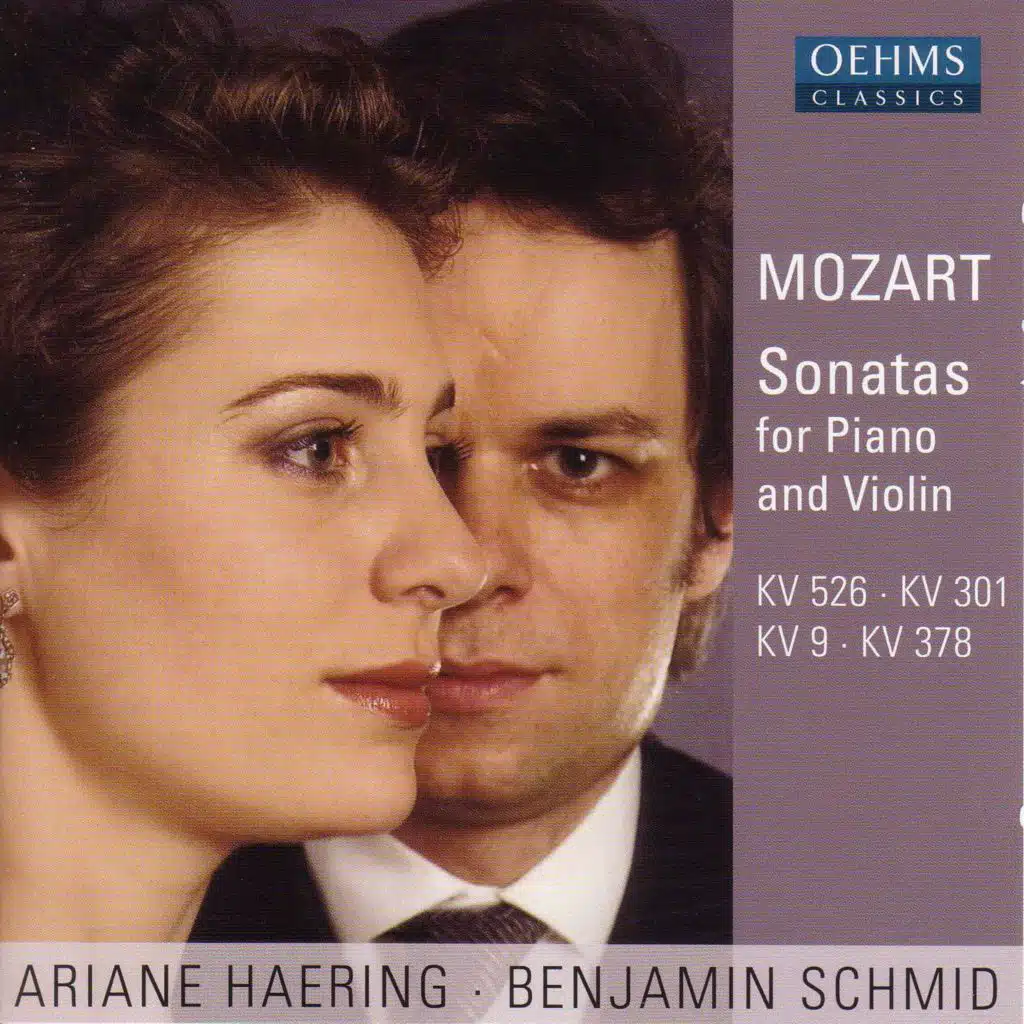 Violin Sonata No. 26 in B-Flat Major, K. 378: I. Allegro moderato