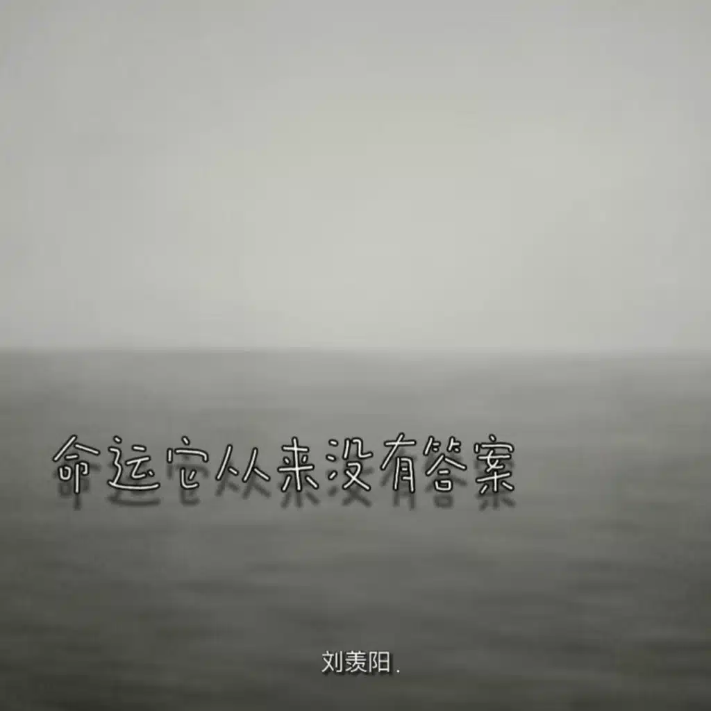 命运它从来没有答案 (男版)