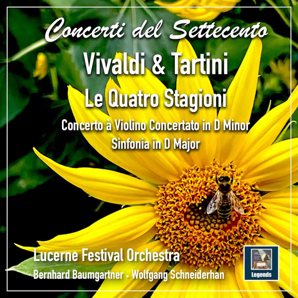 Violin Concerto in D Minor, D. 45: III. Presto