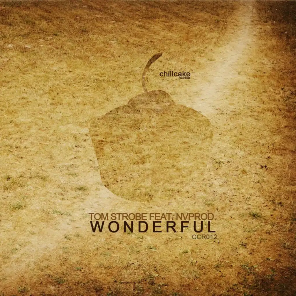 Wonderful (feat. NVprod.)