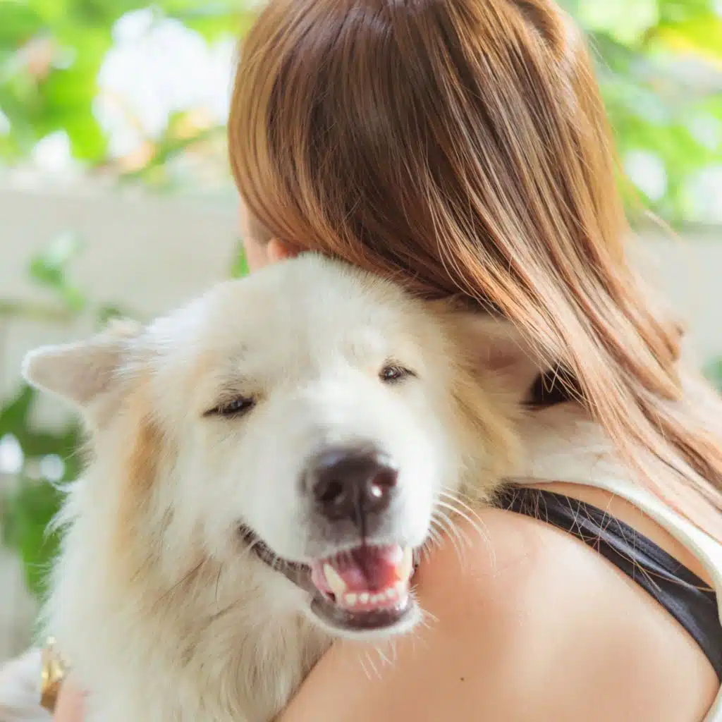 Serene Sounds Keep Dogs Relaxed