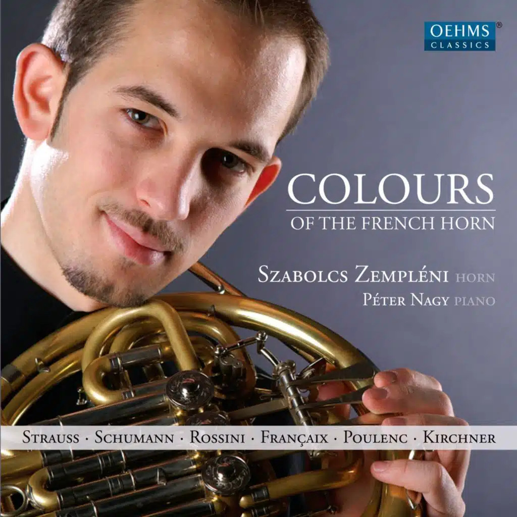 Andante in C Major, TrV 155