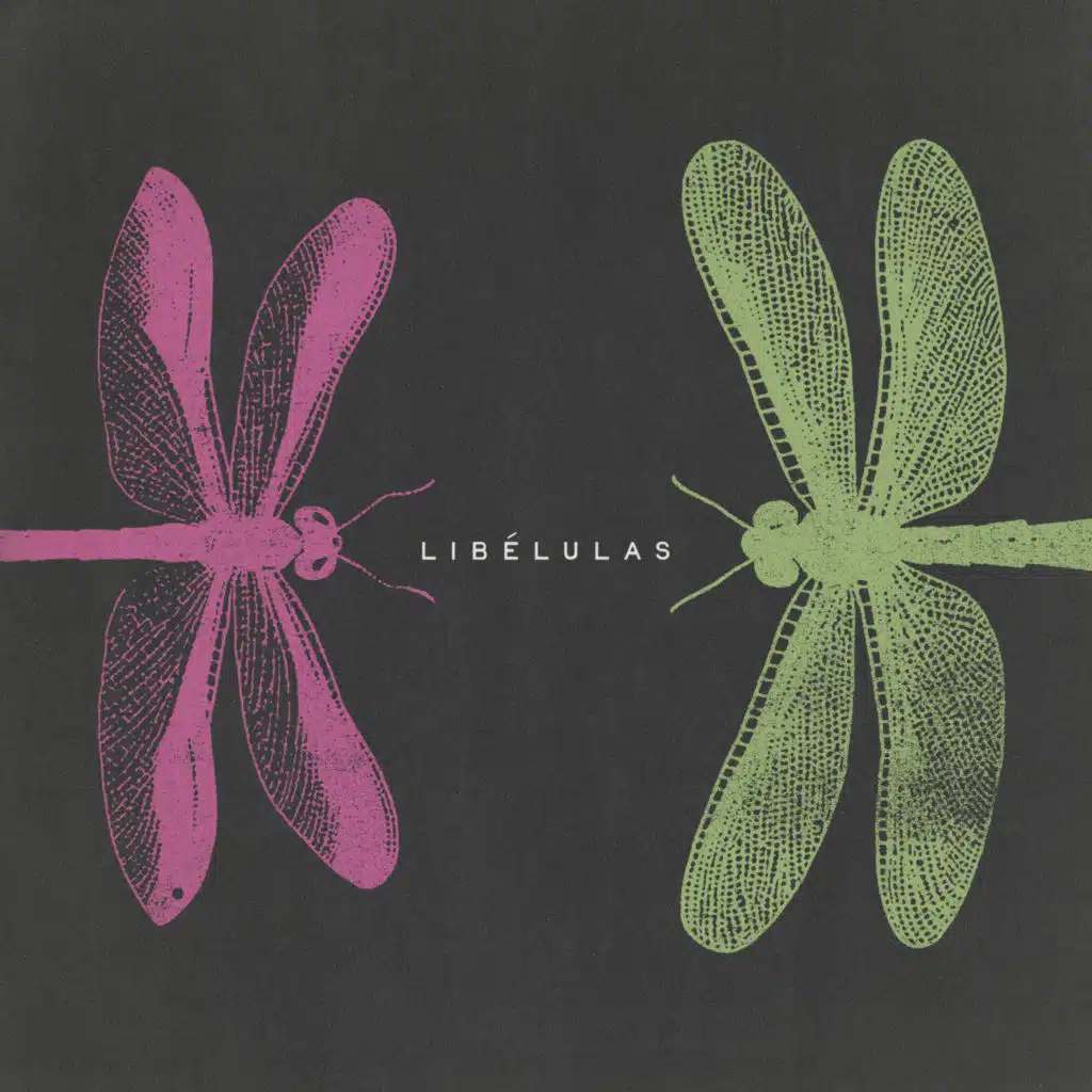 libélulas
