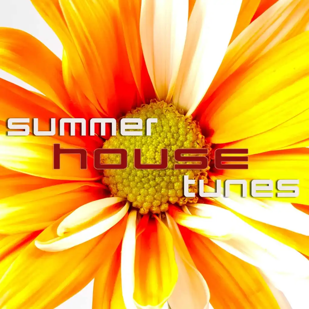 Summer House Tunes (House, Deep House & Latin House)