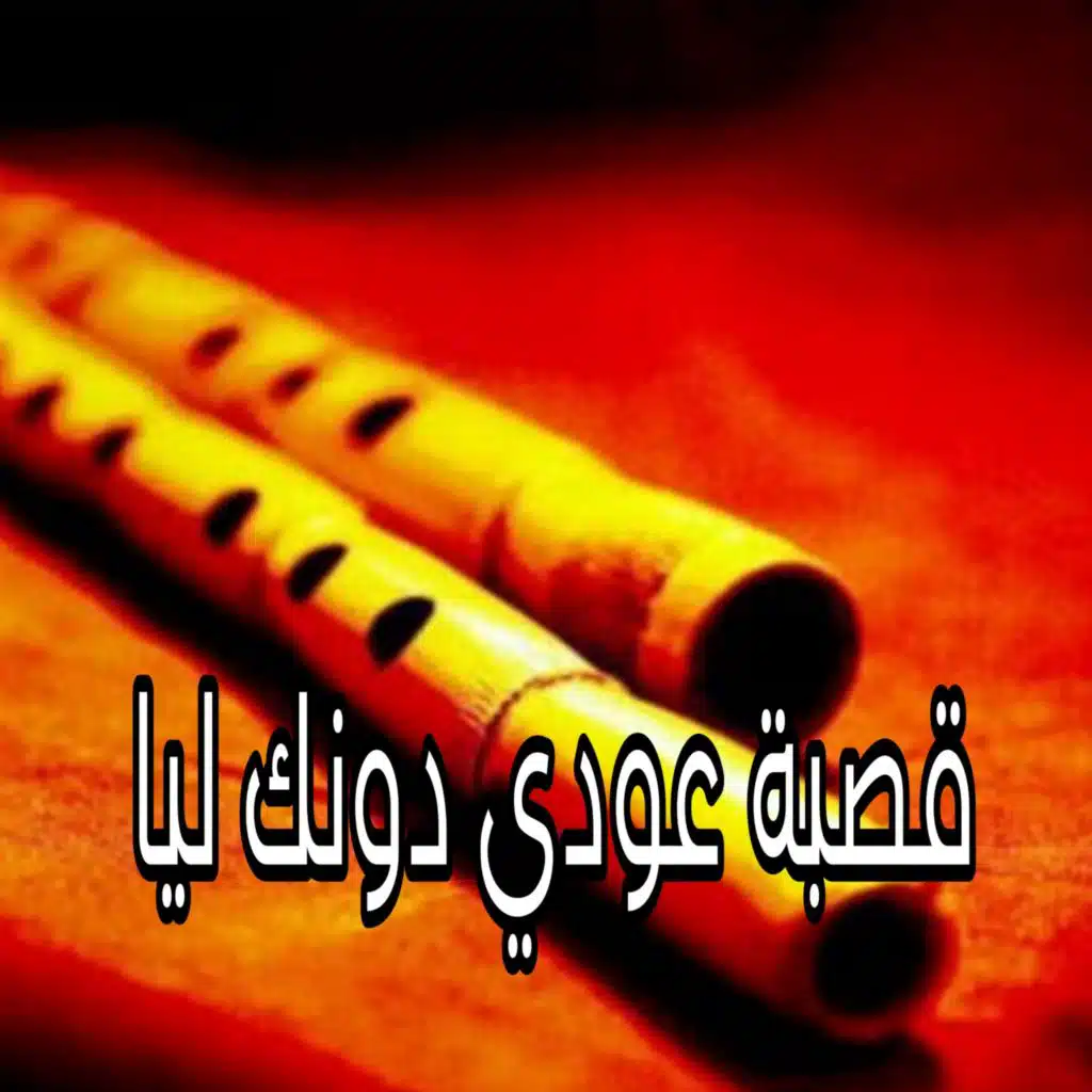قصبة عودي دونك ليا