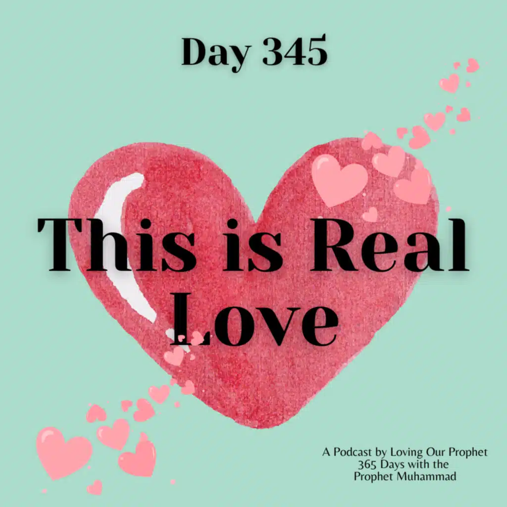 Day 345 - This is Real Love