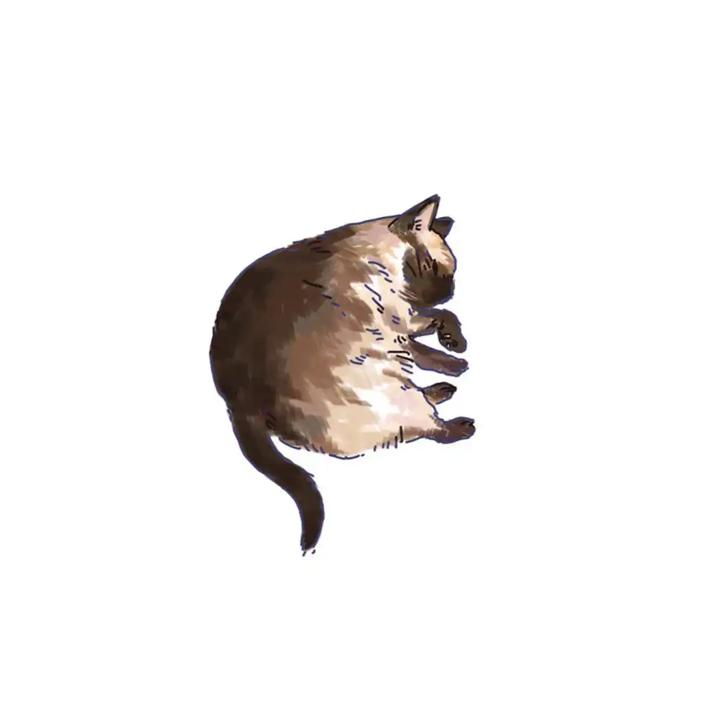 국승은
