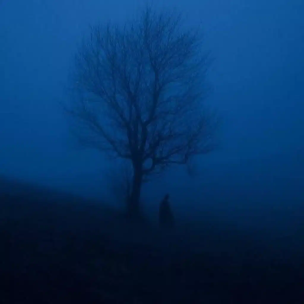 Gravitational Forces (Slowed + Reverb)