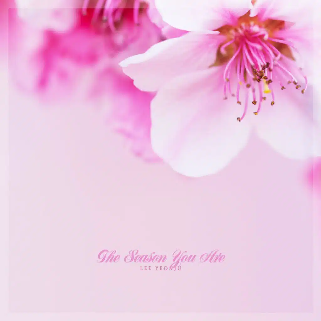 The Season You Are