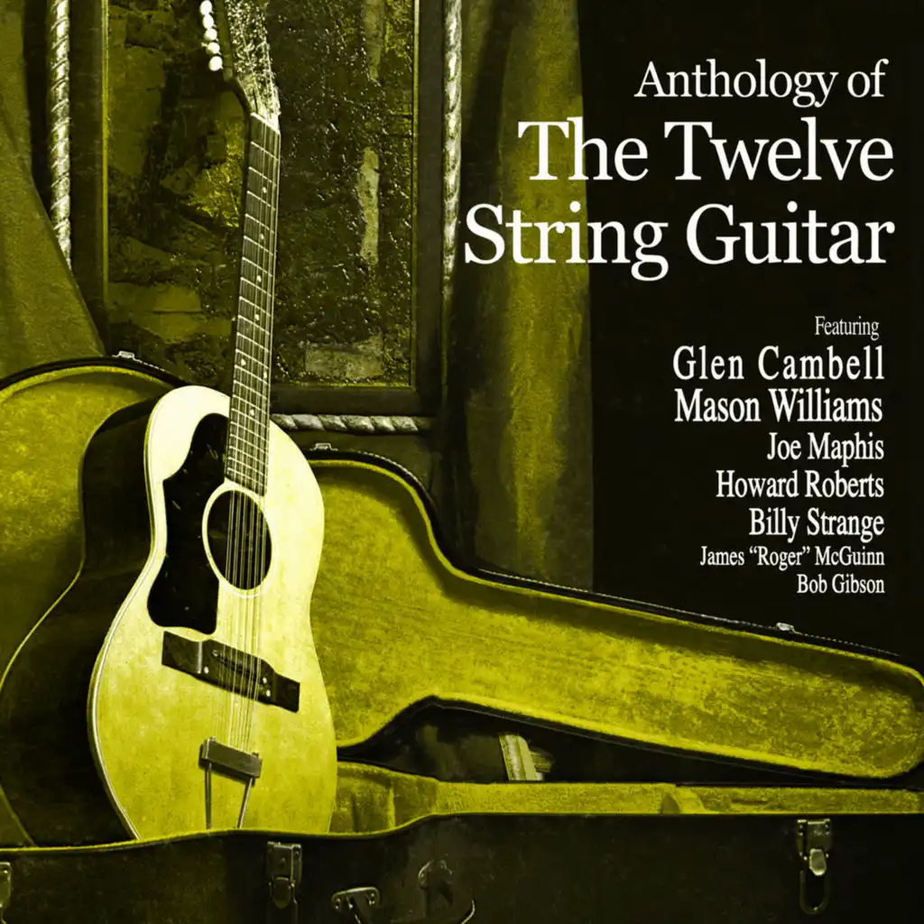 12 String Guitar Rag