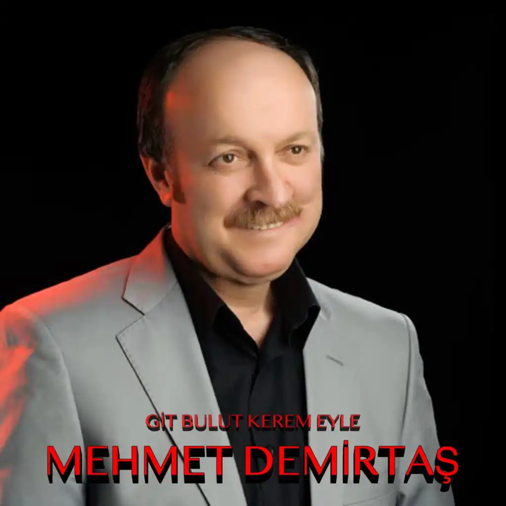 Mehmet Demirtaş