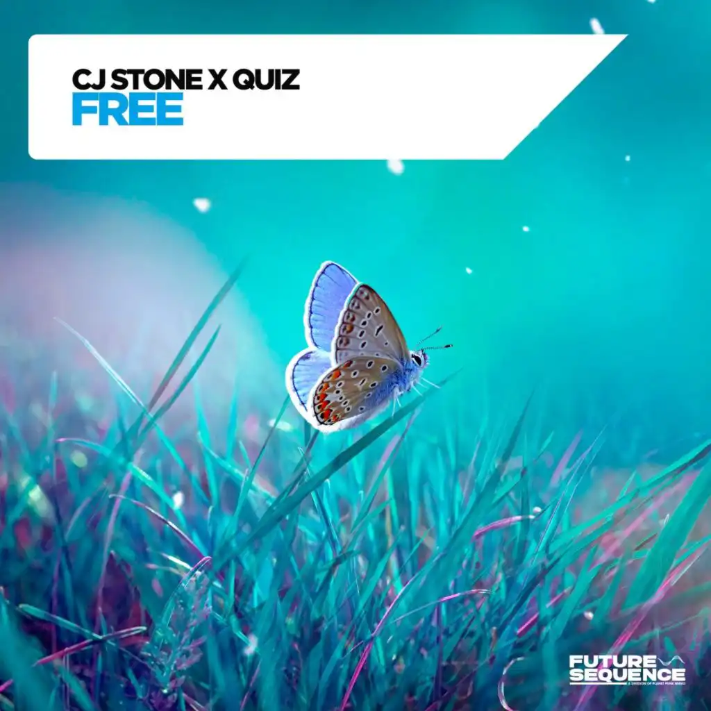 CJ Stone & Quiz