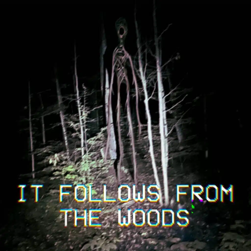 It Follows From the Woods