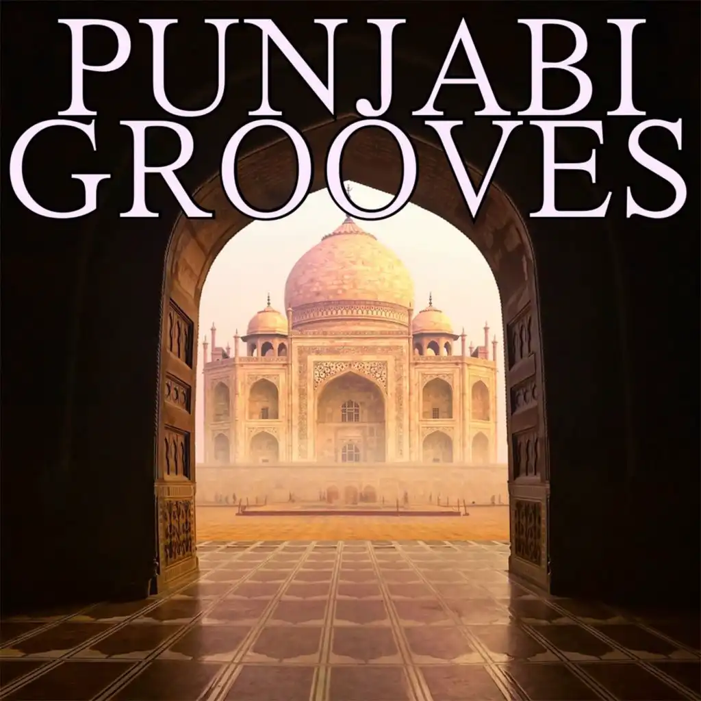 Punjabi Grooves