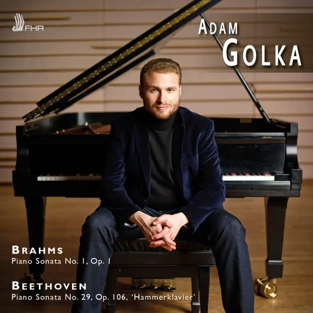 Brahms & Beethoven: Piano Sonatas