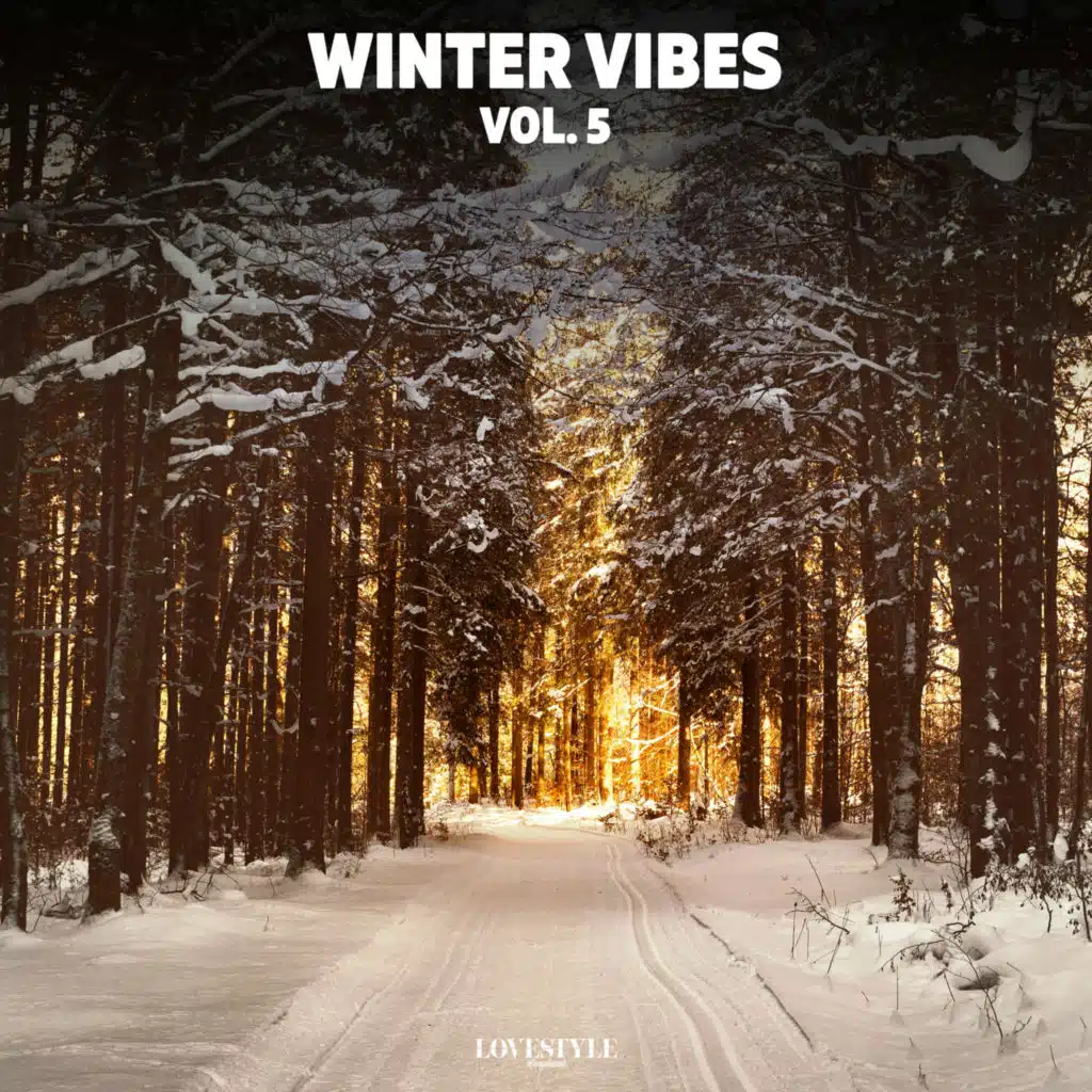 Winter Vibes, Vol. 5